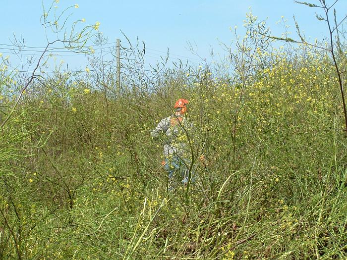 2 Clearing the Field (5)
